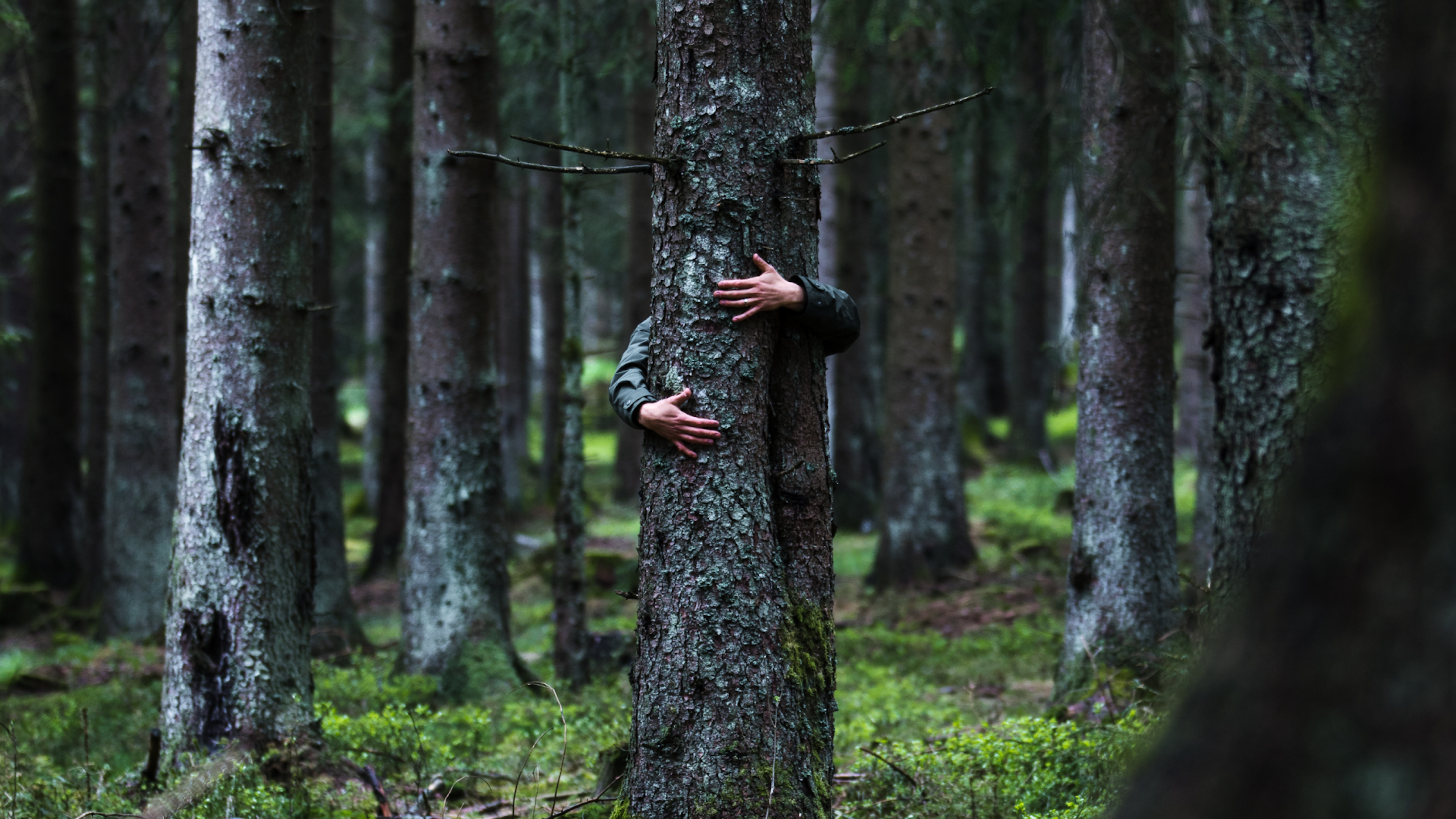 Ein Mensch ist im Wald und umarmt einen Baum