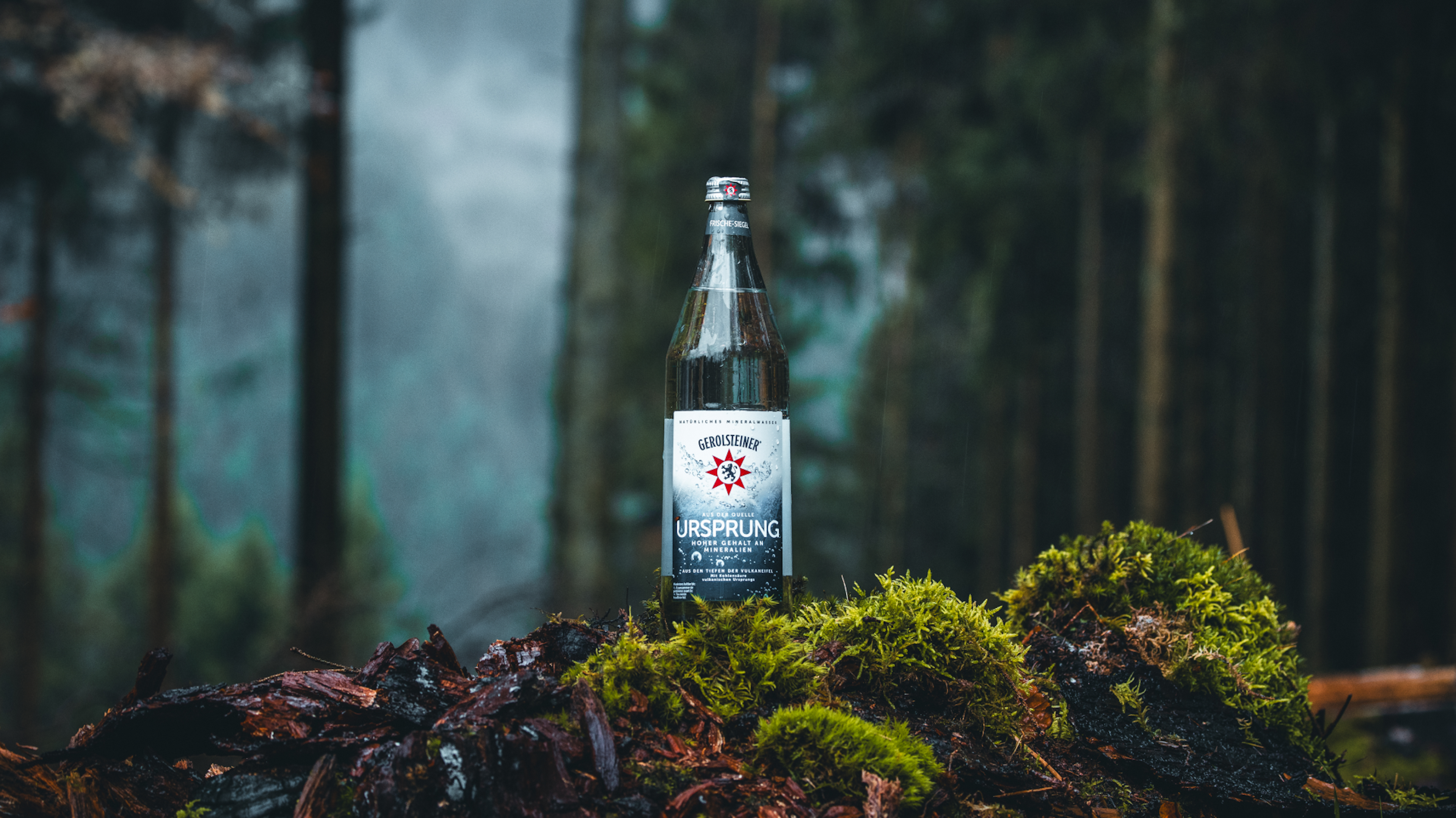 Eine Mineralwasserflasche steht im Vordergrund auf einem moosbedeckten Waldstumpf mit einem nebligen Wald im Hintergrund.