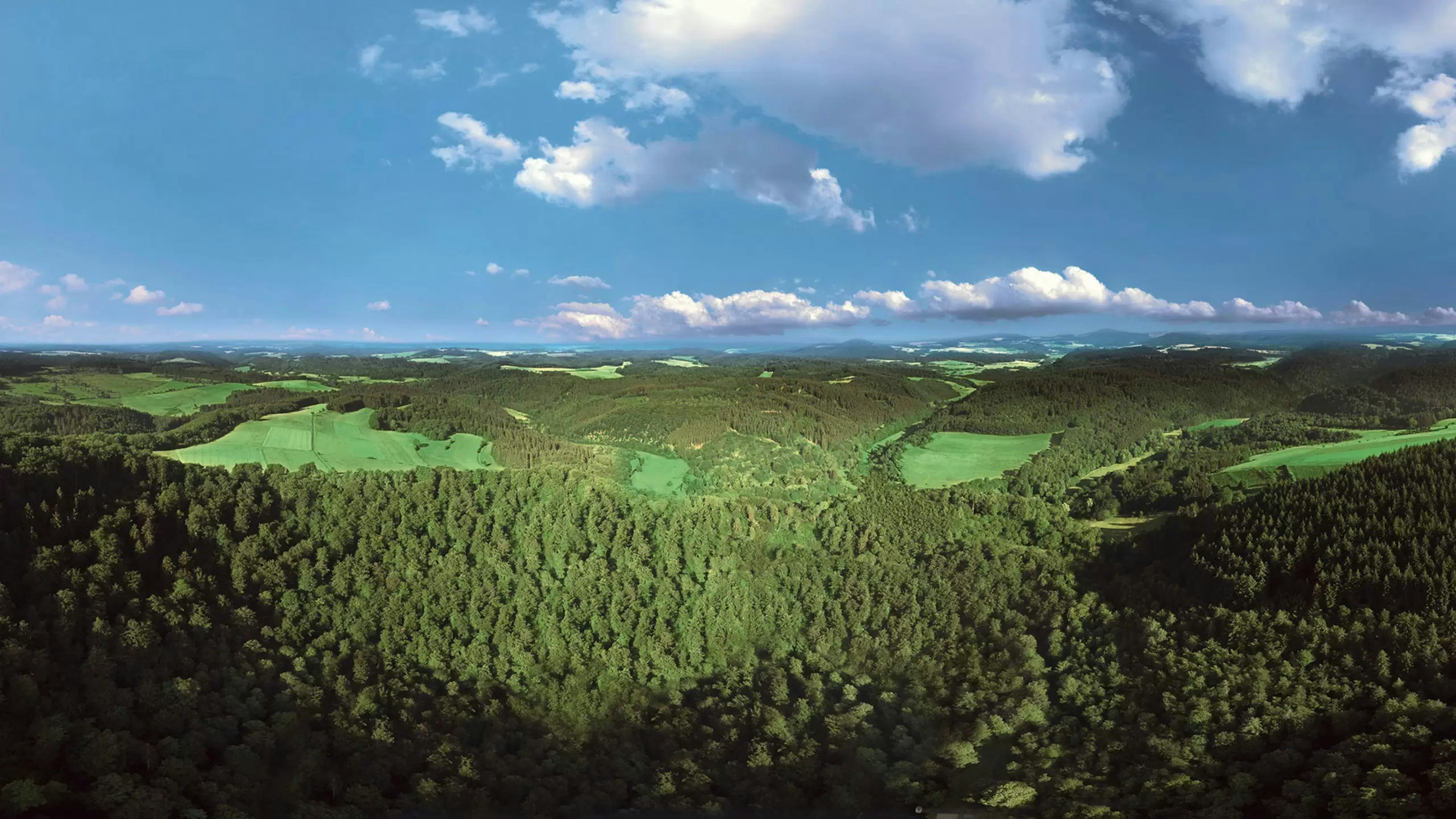 Eine Panorama-Ansicht über Wiesen und Wälder in der Eifel