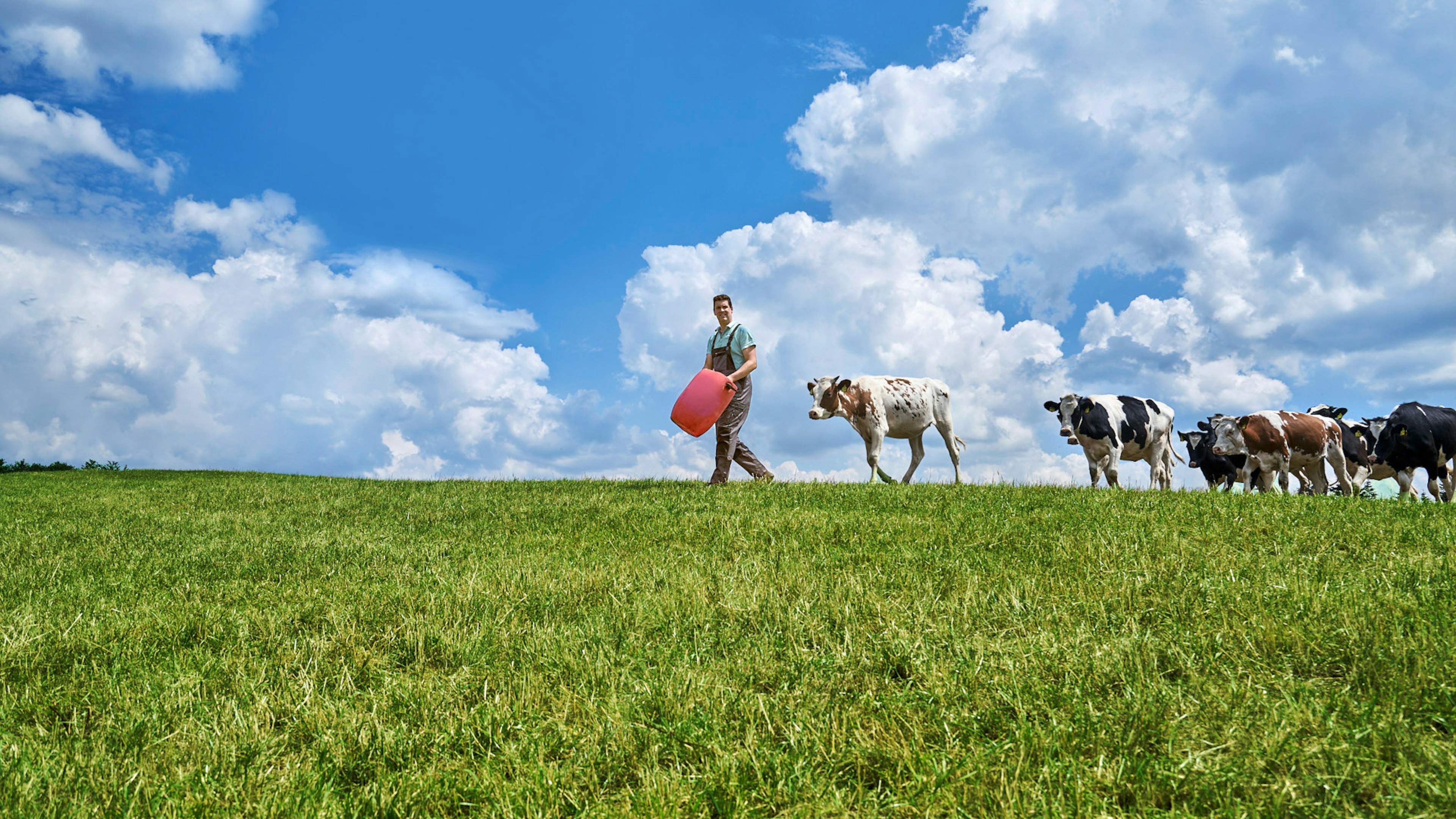 : Ein Bauer auf einer grünen Weide. Er trägt einen roten Eimer in der Hand, ihm folgen ein paar Kühe. Der Himmel ist sehr blau und ein paar Wolken sind am Himmel